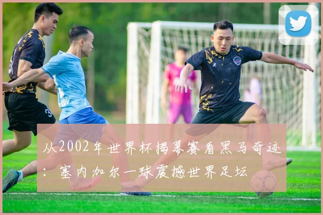从2002年世界杯揭幕赛看黑马奇迹：塞内加尔一球震撼世界足坛
